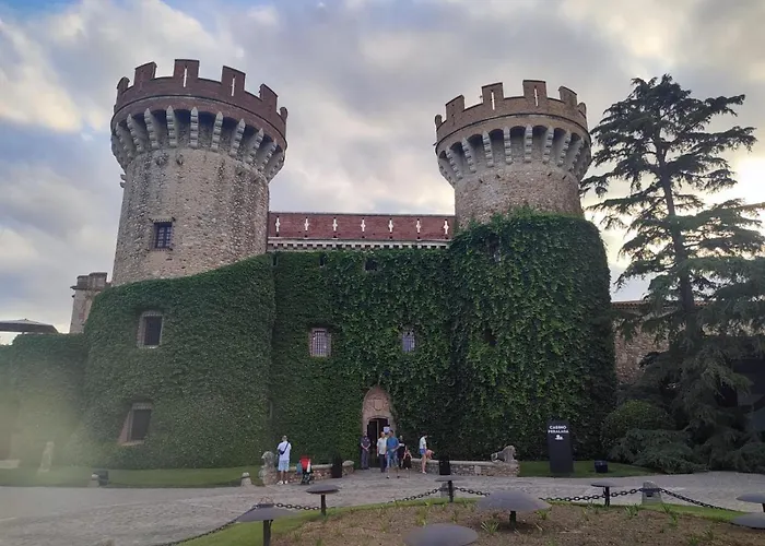 Appartamento Superior Isla De -tramuntana42